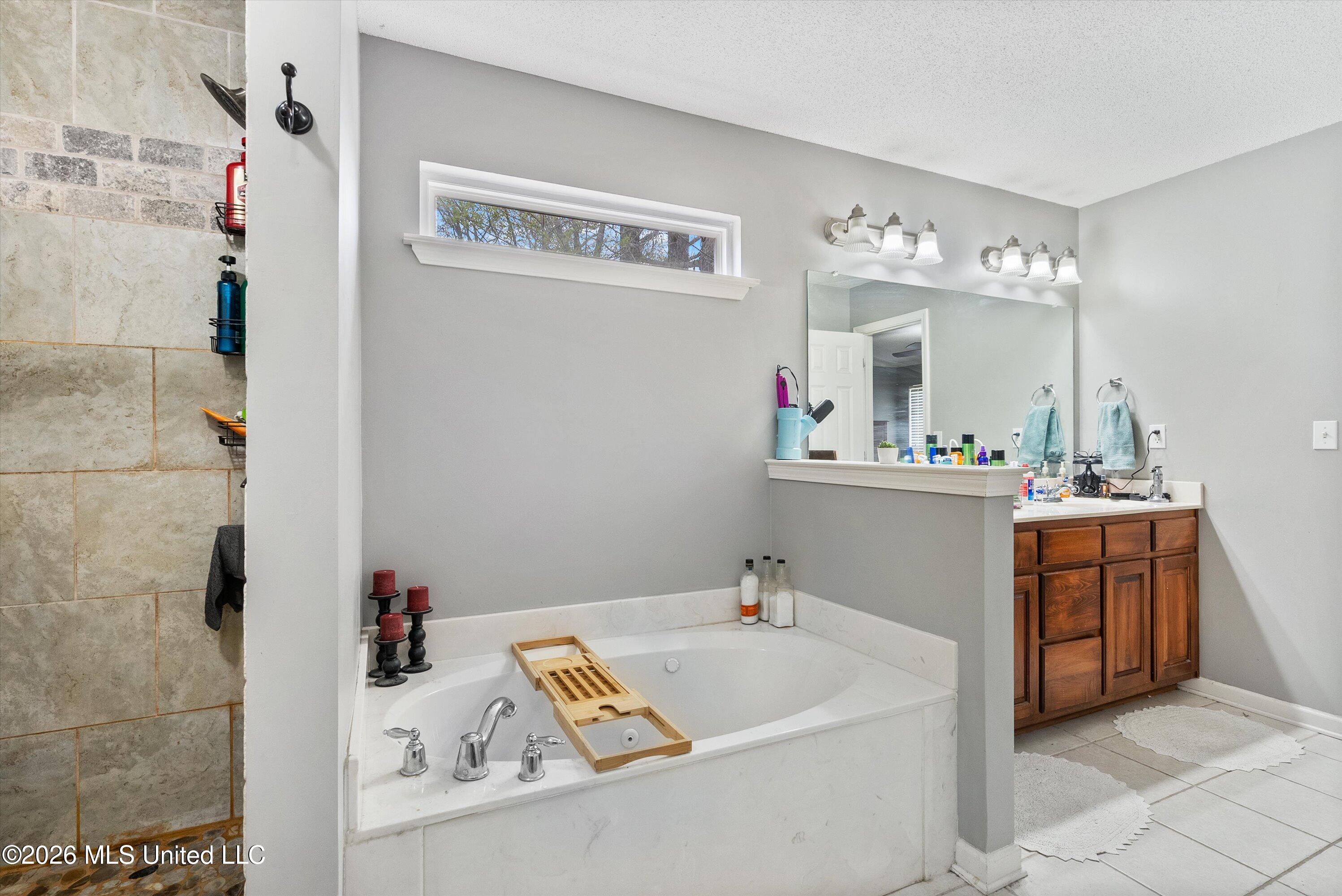 7843 Randolph Cove Walls, MS 38680 - Photo 15 of 27 19-Primary Bathroom 2