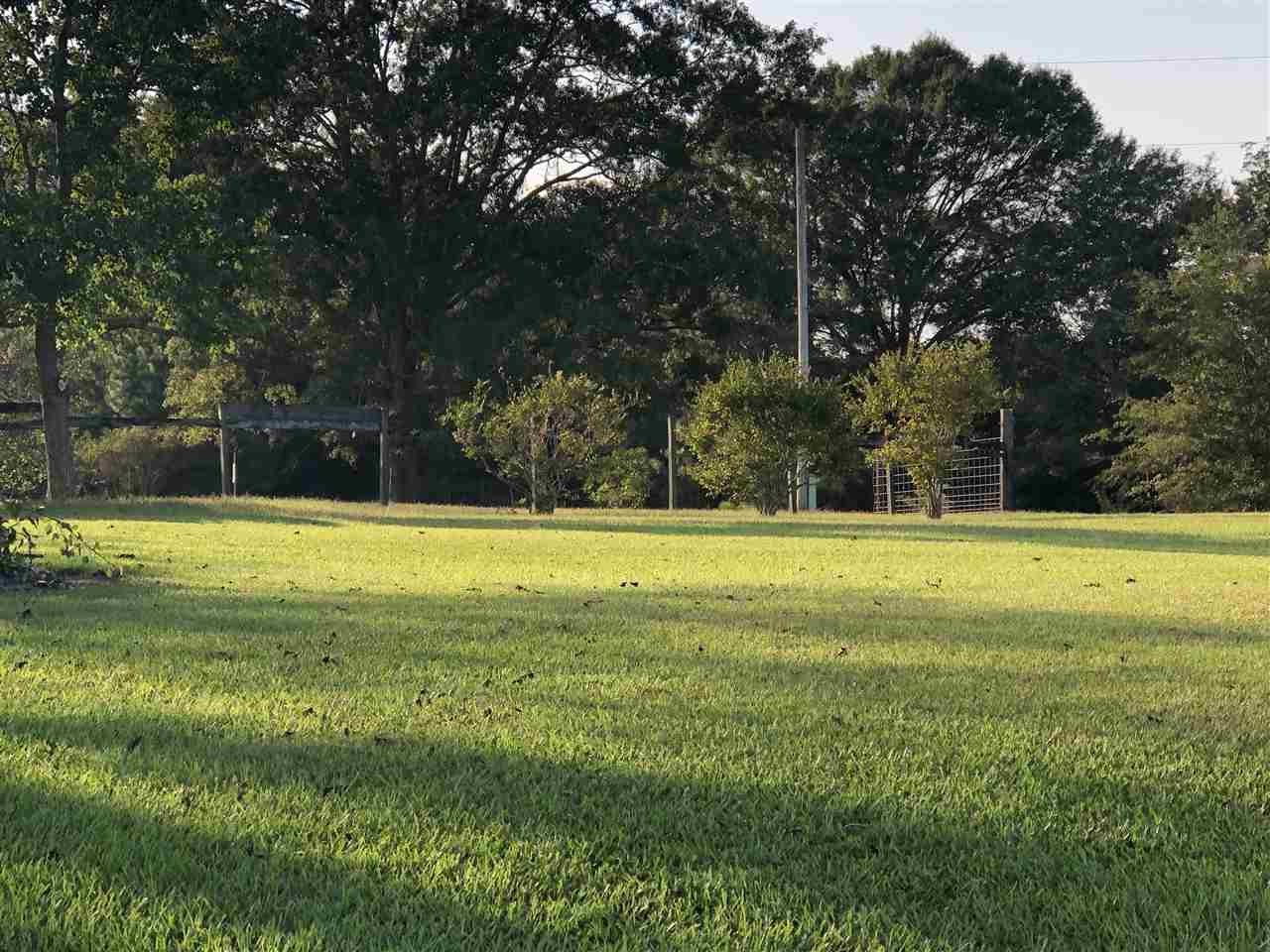 947 Lawrence Ebenezer Road Lawrence, MS 39336 - Photo 8 of 23 Photo 8