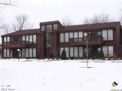 985 Canyon View Road, Unit 104 Northfield, OH 44067 - Photo 1 of 1