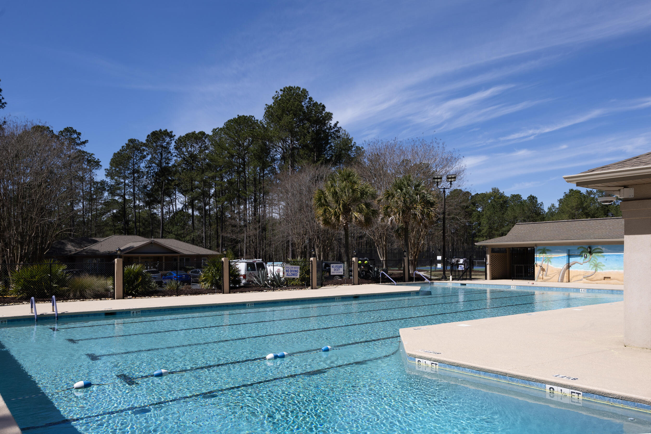 534 Long Shadow Drive Aiken, SC 29803 - Photo 56 of 61 Pool