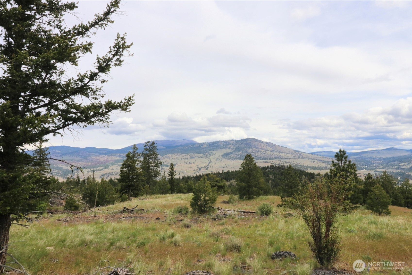 333 Patterson Creek Road Tonasket, WA 98855 - Photo 12 of 30 a view of a lake with mountains in the background