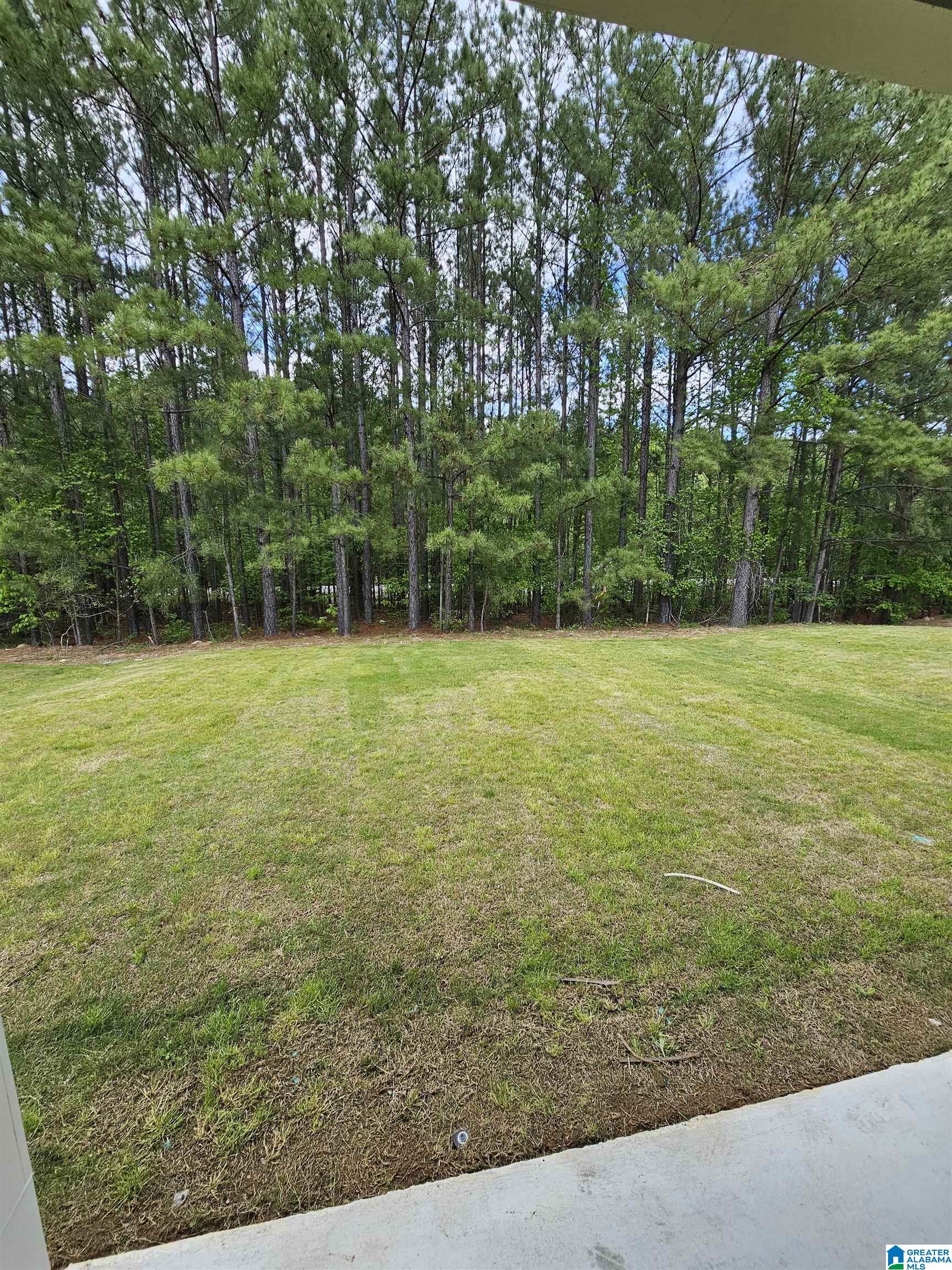 2123 Springfield Drive Chelsea, AL 35043 - Photo 25 of 28