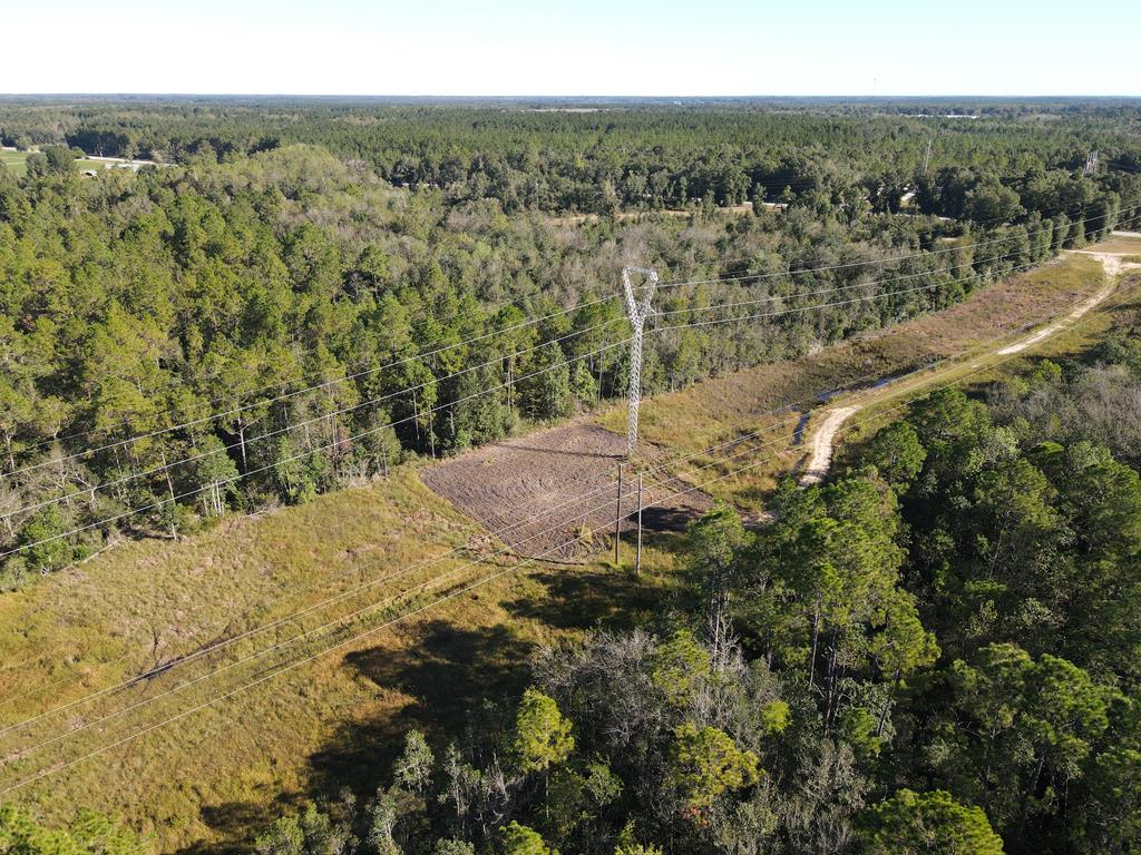 Undisclosed Address Samson, AL 36477 - Photo 26 of 39