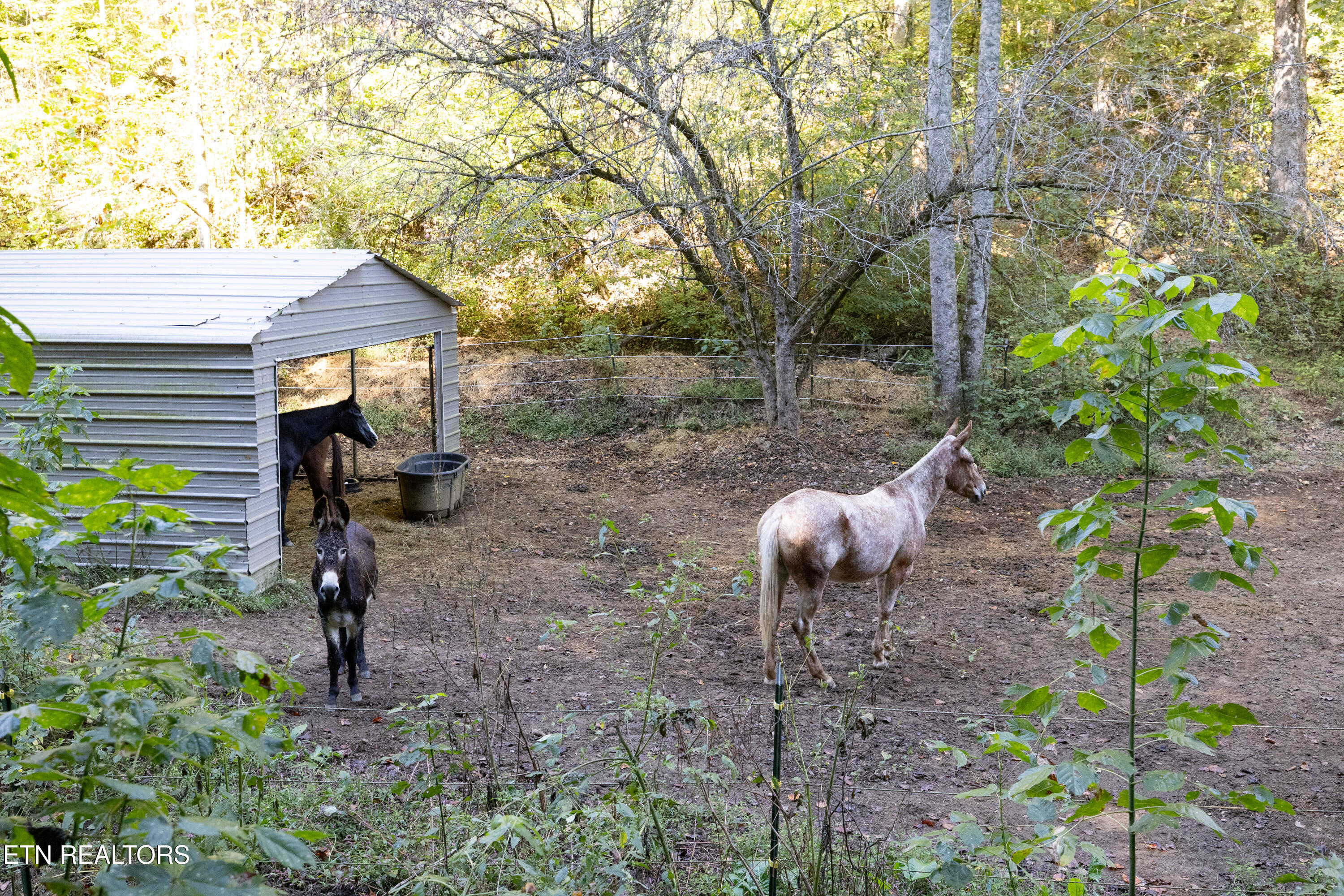 163 Ridge Road Sharps Chapel, TN 37866 - Photo 24 of 30 Positive Perceptions-24