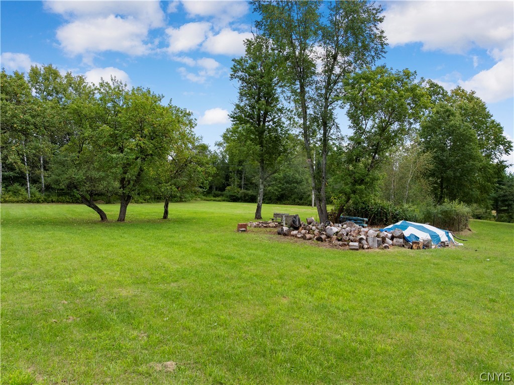 1406 Gray-Wilmurt Road Ohio, NY 13324 - Photo 17 of 28 Gallery Image 17