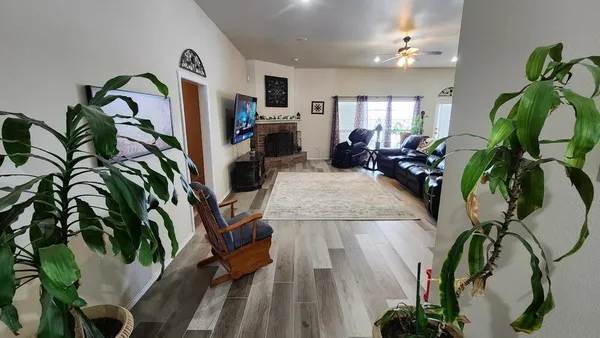 a view of a livingroom with furniture and a potted plant