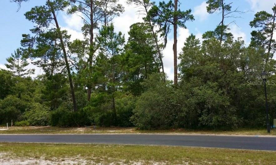 6155 Waters Way Weeki Wachee, FL 34607 - Photo 1 of 1 Gallery Image 1