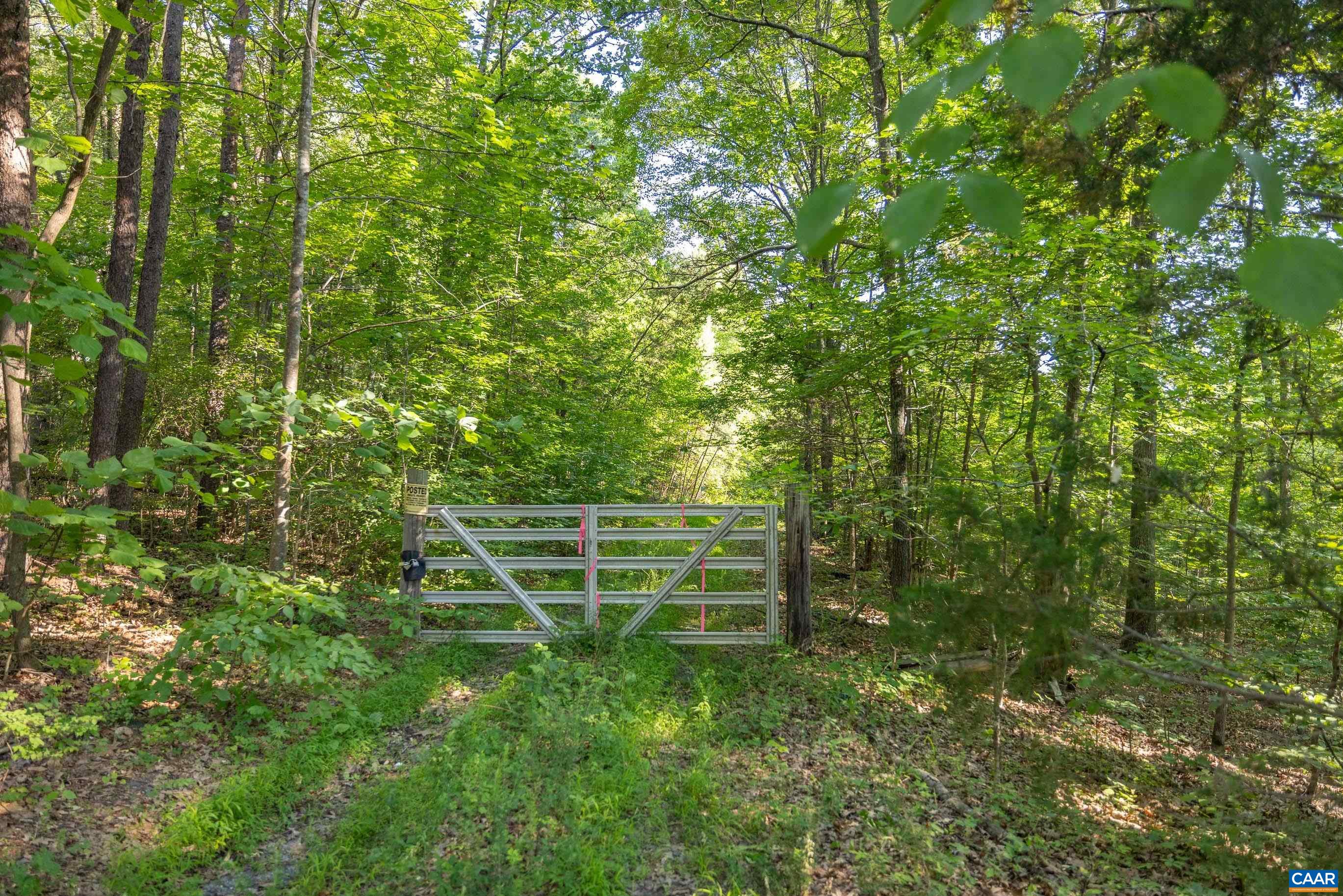 Lot 1 Stag Road Bremo Bluff, VA 23022 - Photo 4 of 21 a green field with lots of trees