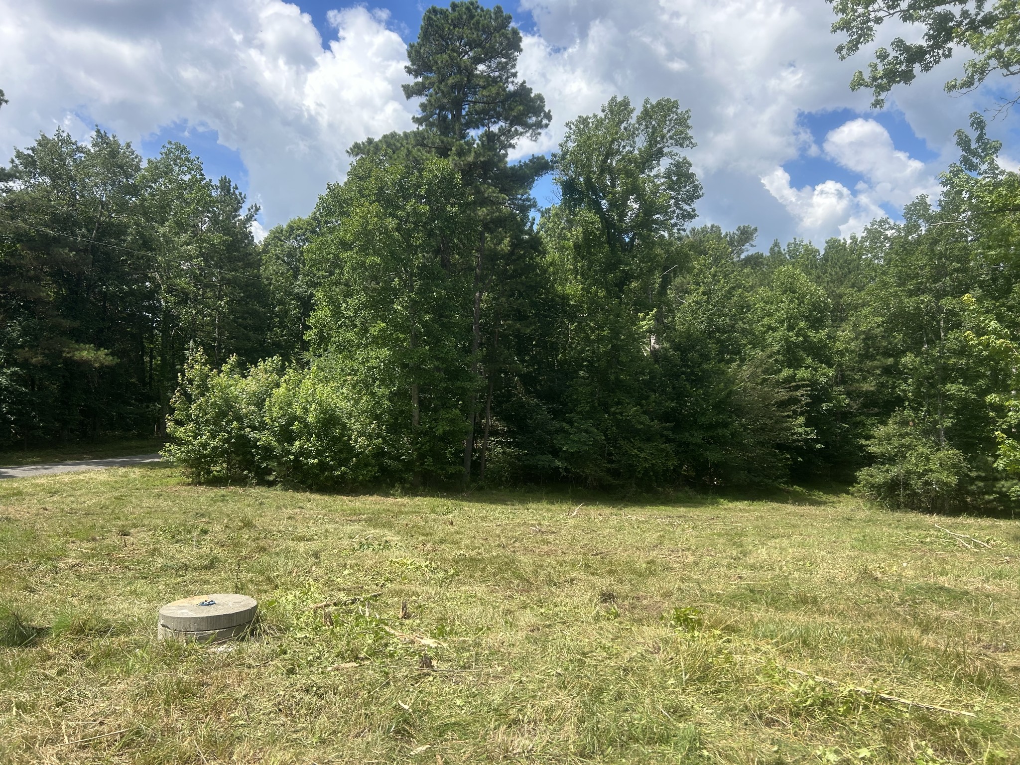 760 Chestnut Hill Road Eva, TN 38333 - Photo 2 of 10