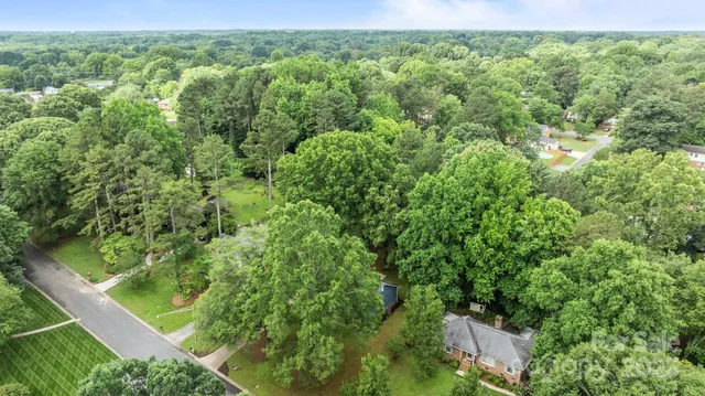 a view of a forest with a street