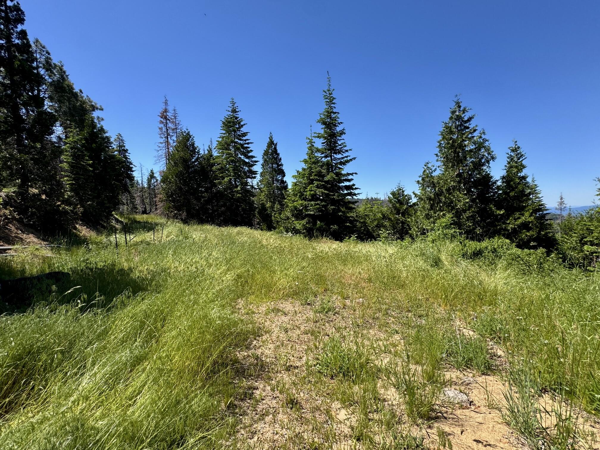 40-acres 40-acres Ammon Ridge Road Willow Creek, CA 95573 - Photo 24 of 28