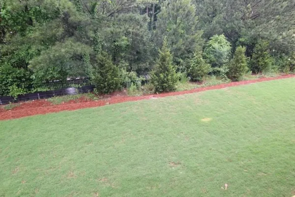 a view of green field with trees in the background