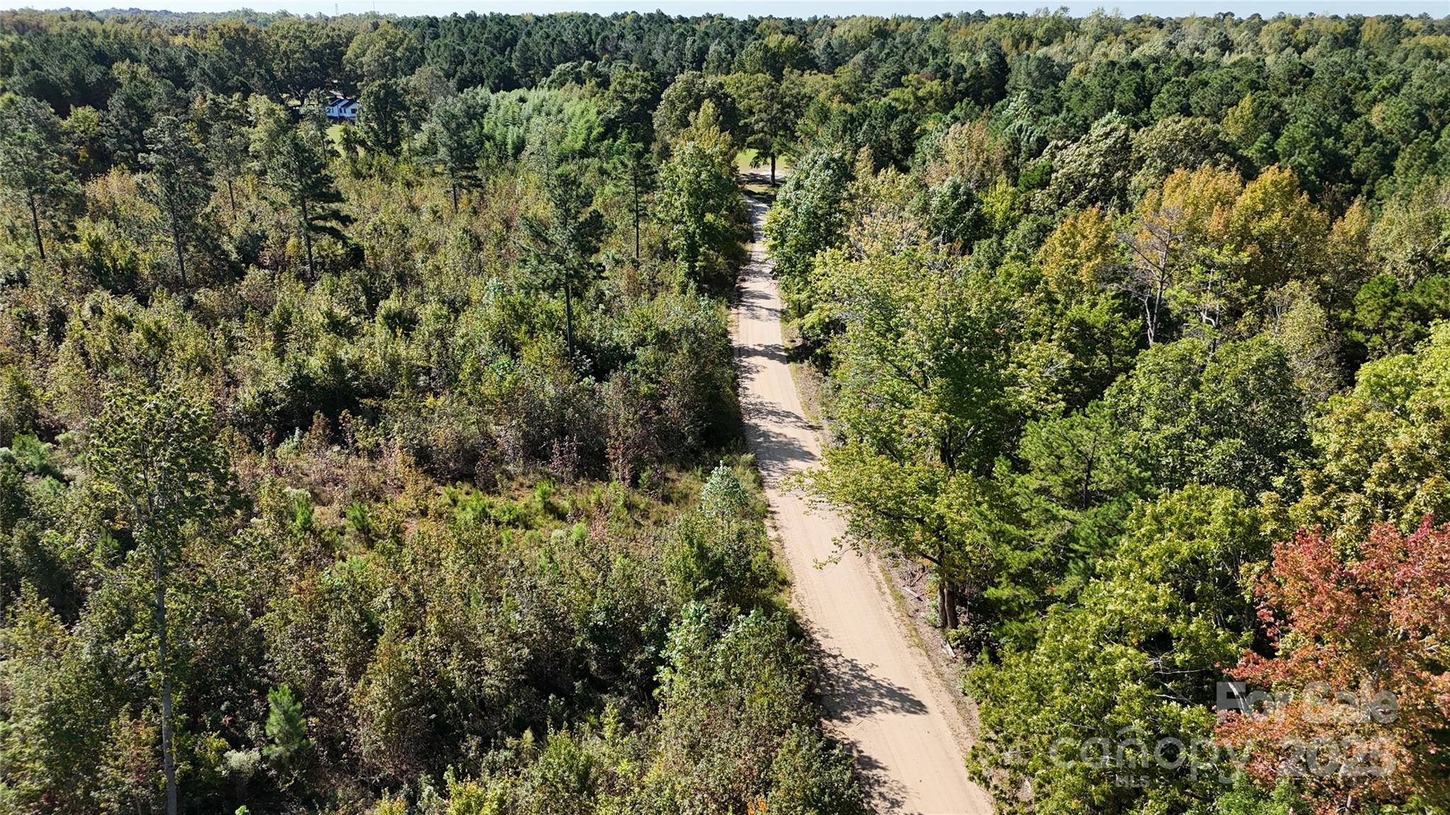 Lot 16 Farris Cato Road Pageland, SC 29728 - Photo 18 of 27 a view of a forest with a tree