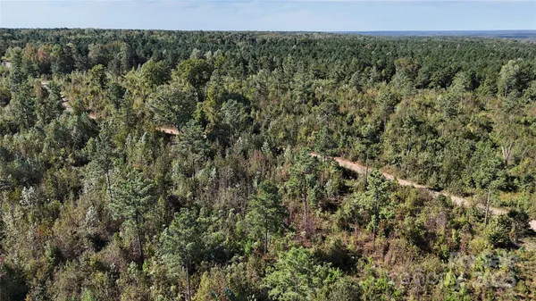 a view of a forest with a street