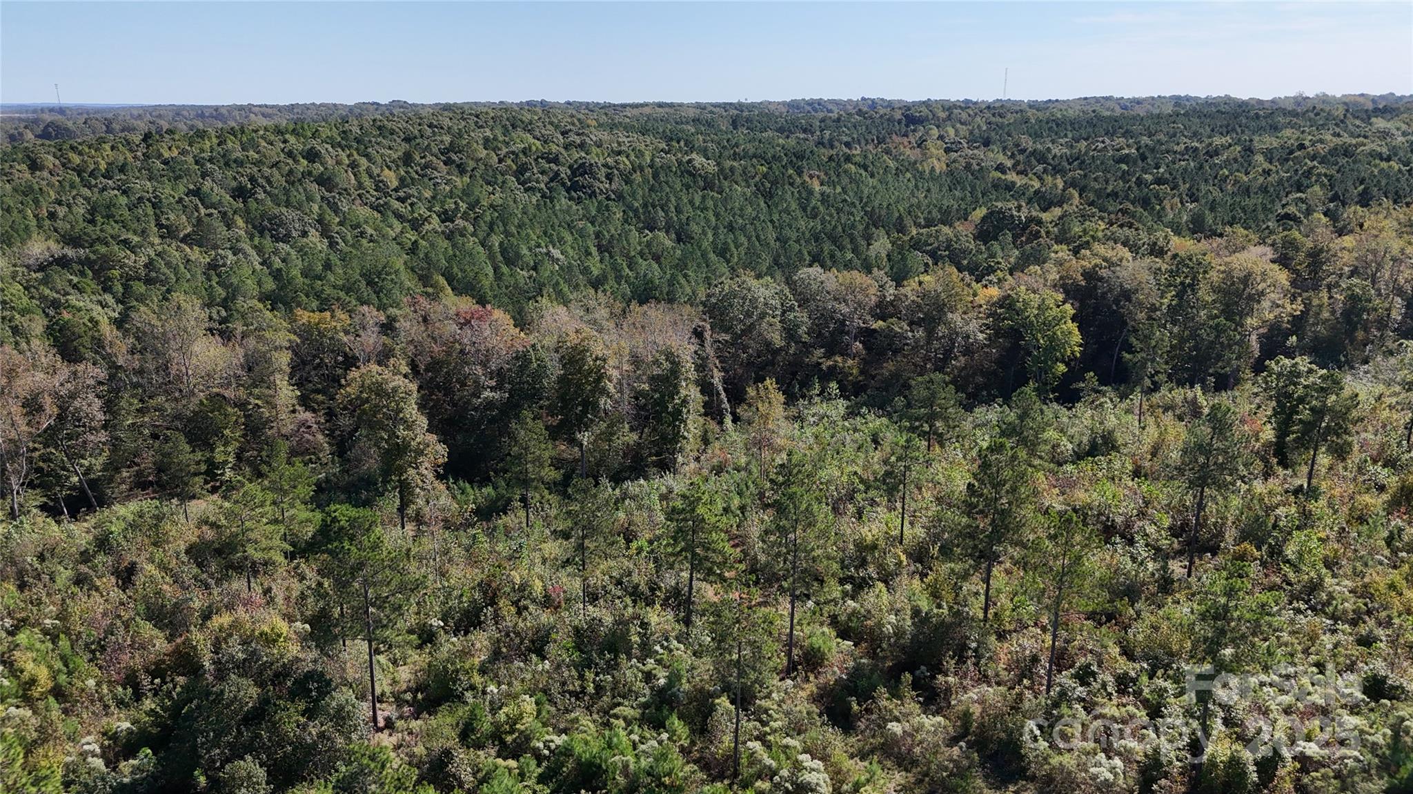Lot 16 Farris Cato Road Pageland, SC 29728 - Photo 7 of 27 a view of a forest with a street