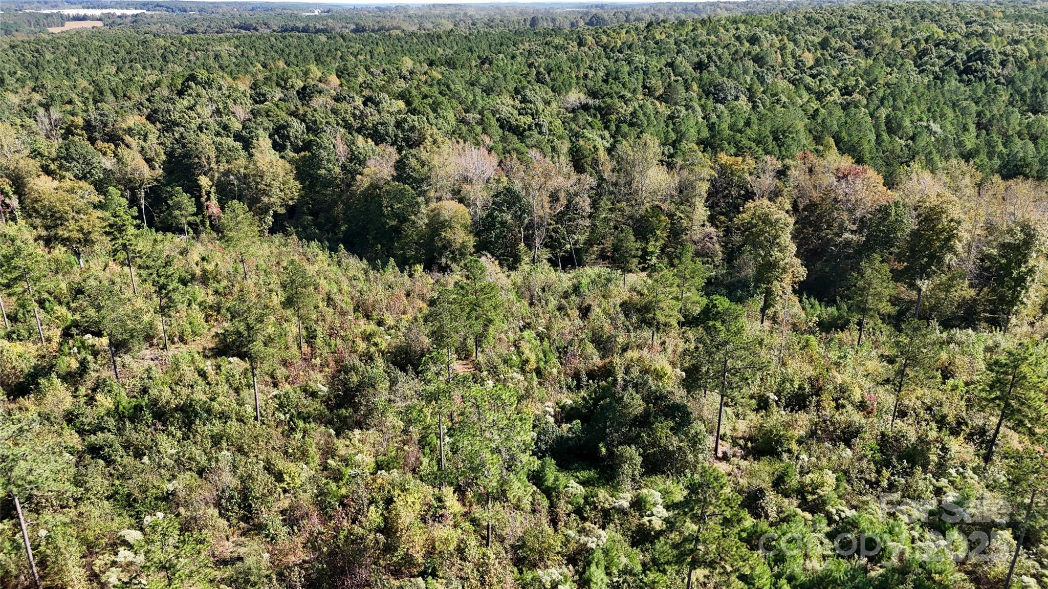 Lot 16 Farris Cato Road Pageland, SC 29728 - Photo 8 of 27 a view of a house with a lush green forest