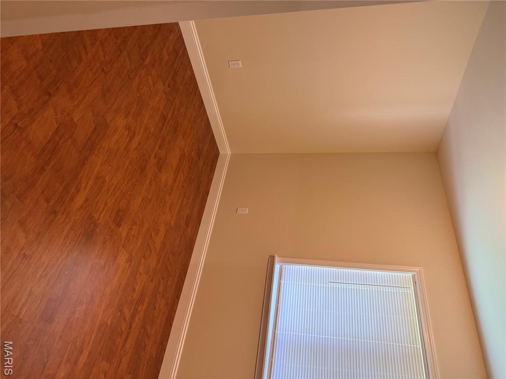 905 Madison Street Gillespie, IL 62033 - Photo 7 of 12