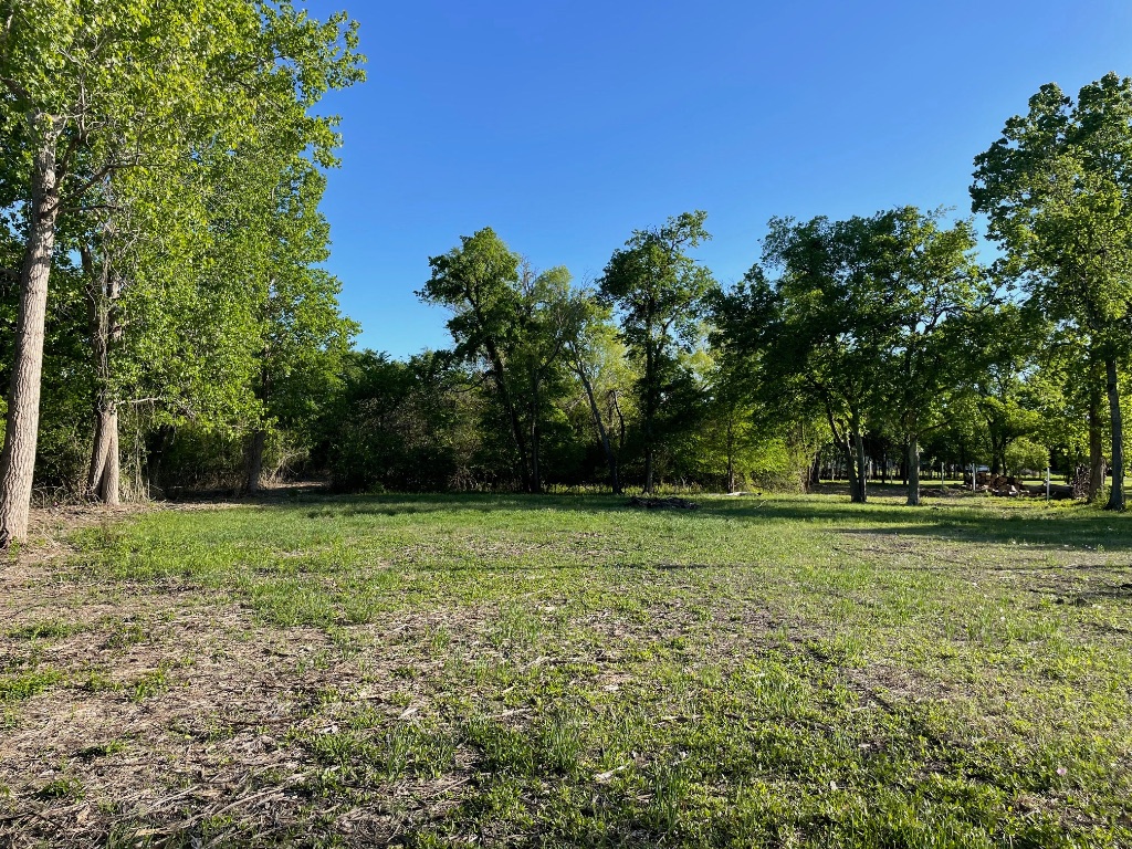 a view of a grassy field with trees