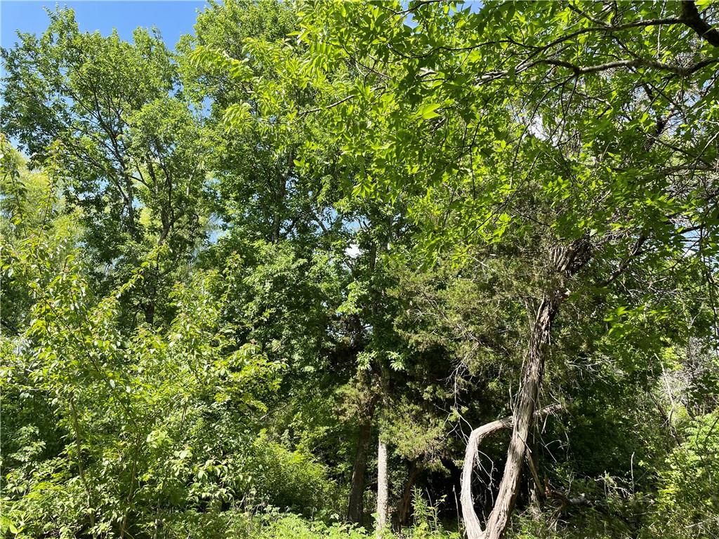 271 Ridgeline Road Leander, TX 78641 - Photo 14 of 20