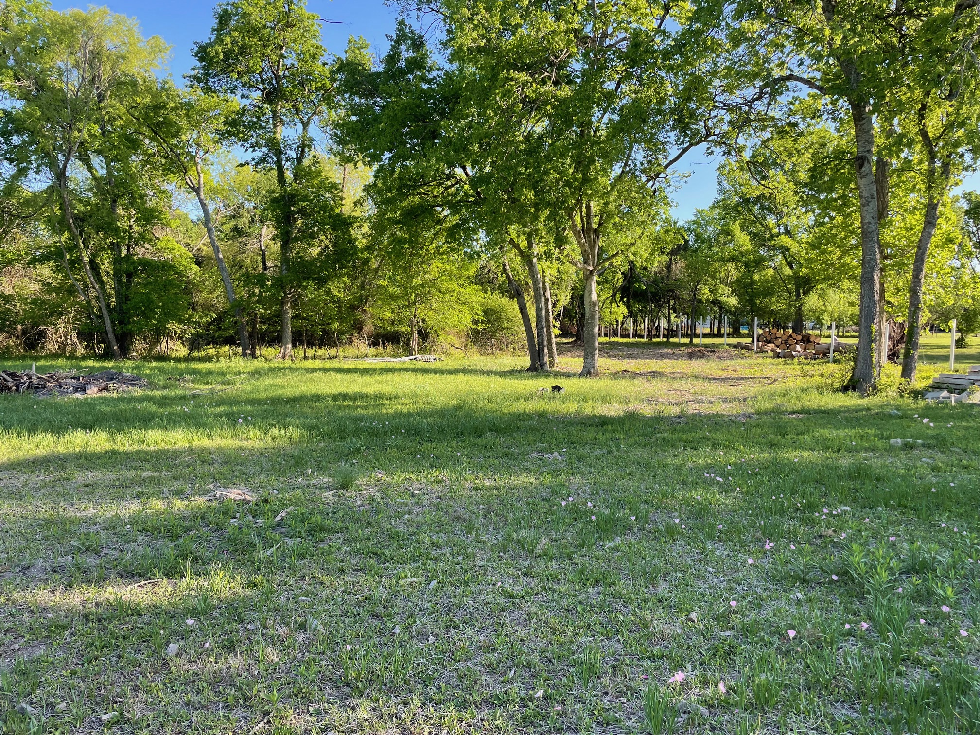 271 Ridgeline Road Leander, TX 78641 - Photo 20 of 20