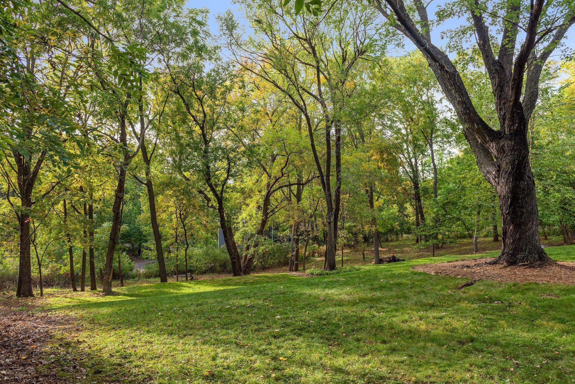 4608 Williston Road Minnetonka, MN 55345 - Photo 50 of 52 Gallery Image 50
