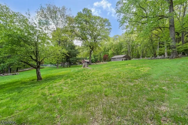 a view of field with trees in the background
