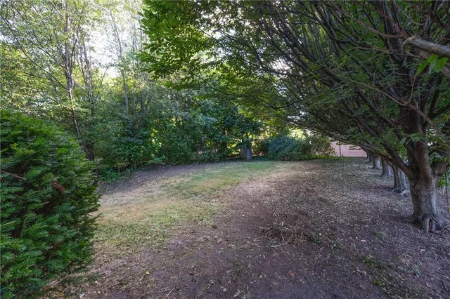 a backyard of a house with lots of green space