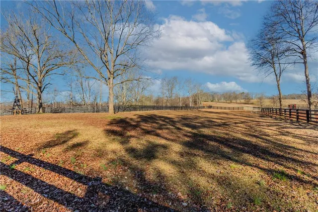 a view of road with large trees