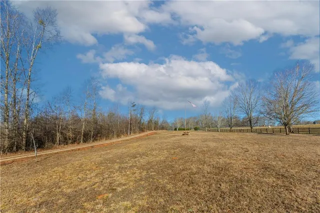 a view of dirt field with trees