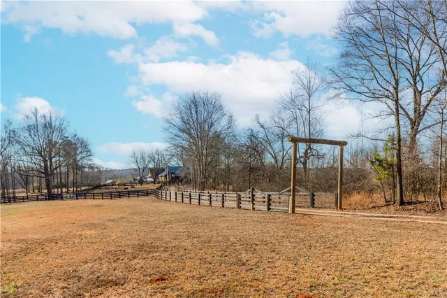 a view of road and trees