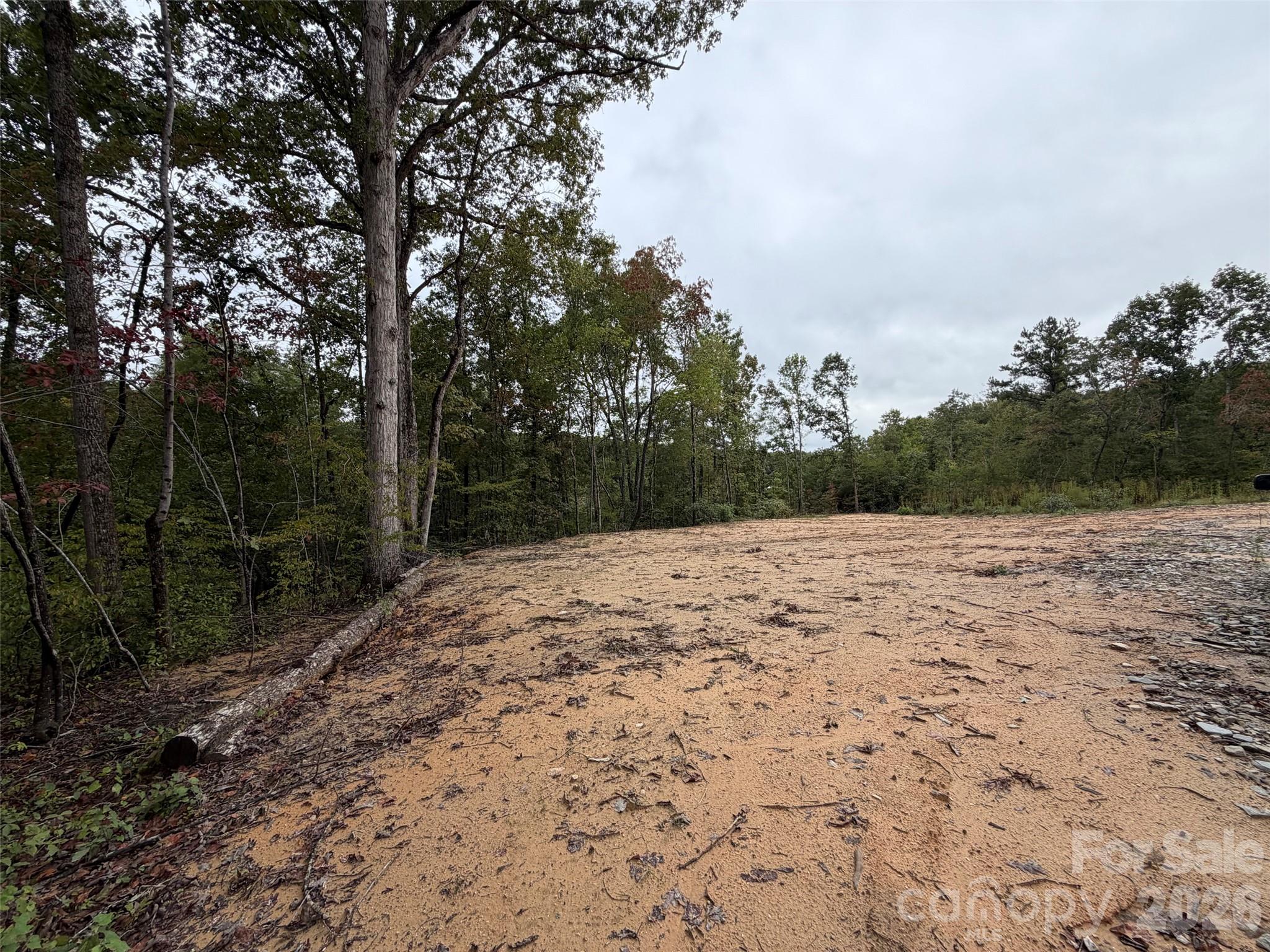 V/l West Thompson Road Rutherfordton, NC 28139 - Photo 6 of 21 Gallery Image 6
