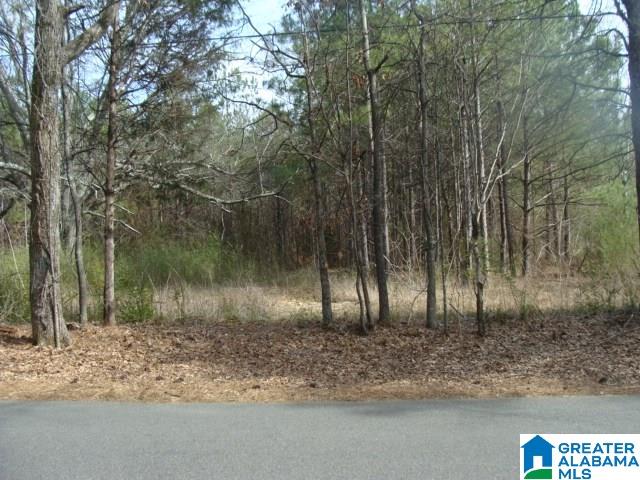 Roy Drive, Unit LAND Helena, AL 35080 - Photo 1 of 4