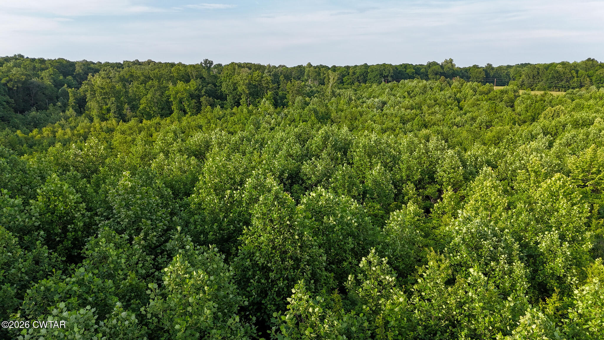 382 Mcadams Road Greenfield, TN 38230 - Photo 26 of 26 McAdamsDrone-8_(2048)