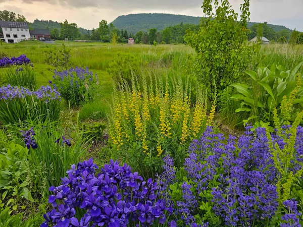 $997,000 | 55 Braeside Place, Ferrisburgh, VT 05473