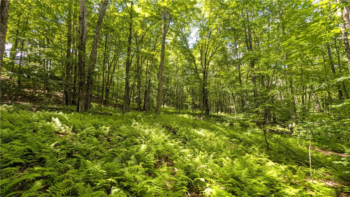 201 Sunrise Mountain Road Kortright, NY 13739 - Photo 38 of 49
