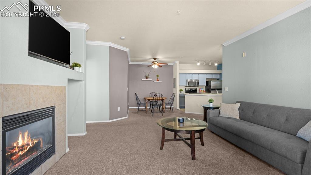 5353 Palomino Ranch Point, Unit 206 Colorado Springs, CO 80922 - Photo 19 of 29