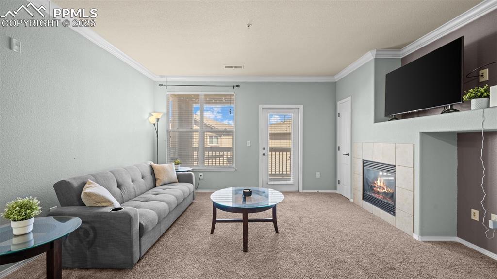5353 Palomino Ranch Point, Unit 206 Colorado Springs, CO 80922 - Photo 22 of 29