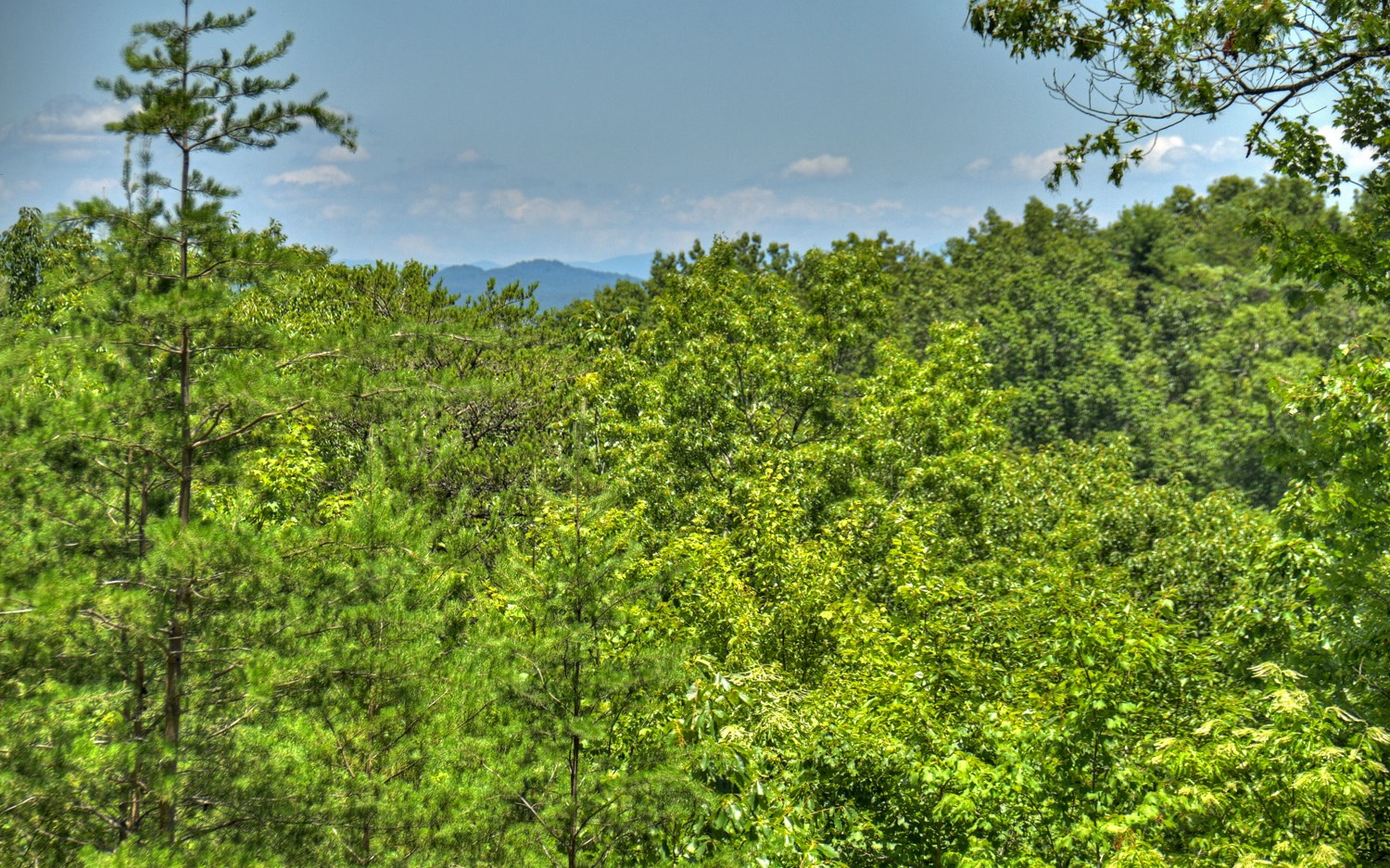 110 Diamond Back Ridge Blue Ridge, GA 30513 - Photo 38 of 66 Additional View