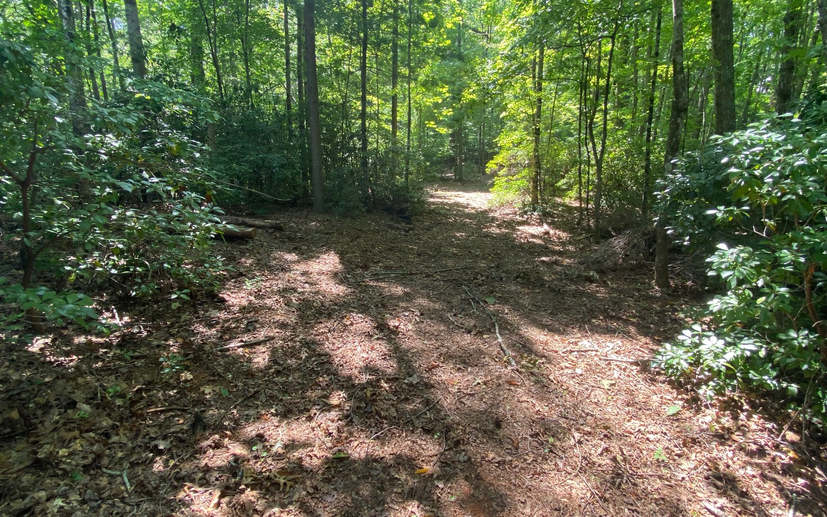 110 Diamond Back Ridge Blue Ridge, GA 30513 - Photo 64 of 66 Additional View