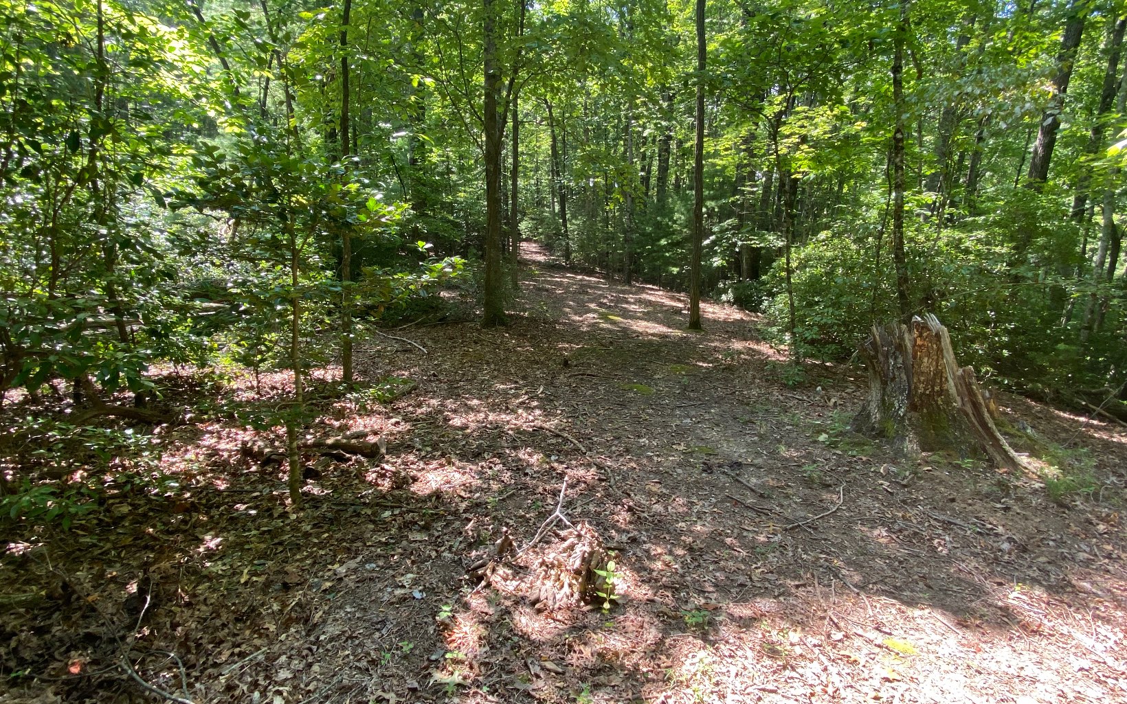 110 Diamond Back Ridge Blue Ridge, GA 30513 - Photo 65 of 66 Additional View