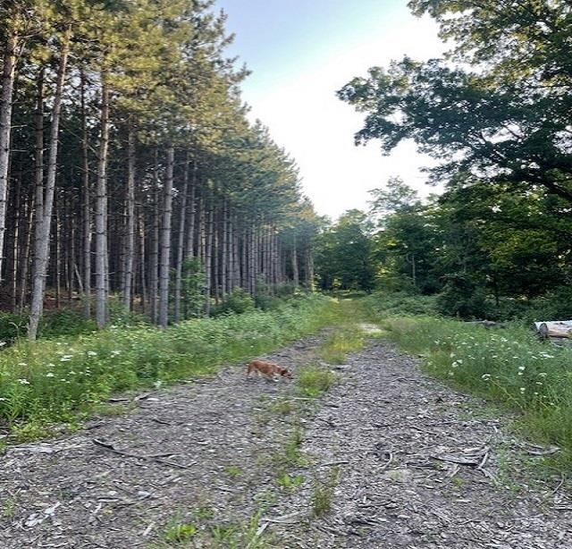 0 East Stockwell Road Harrison, MI 48625 - Photo 19 of 34