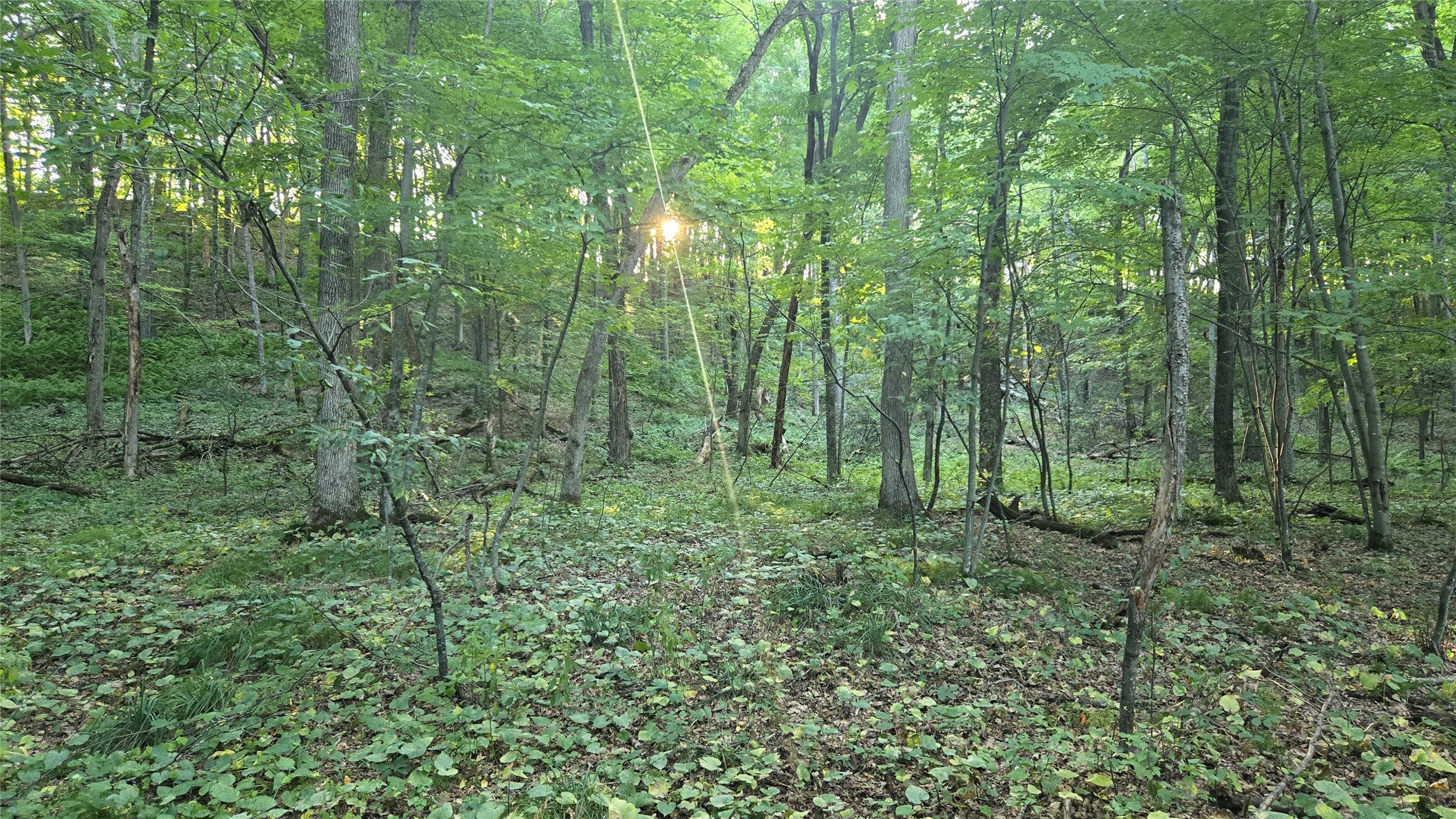 E01 State Highway Ridgeland, WI 54763 - Photo 24 of 59 Gallery Image 24