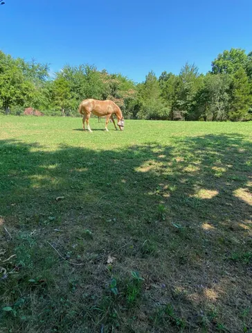 $674,000 | 1663 Southside Road, Southside, TN 37171