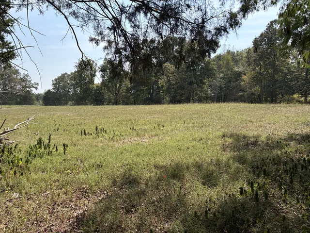 $674,000 | 1663 Southside Road, Southside, TN 37171