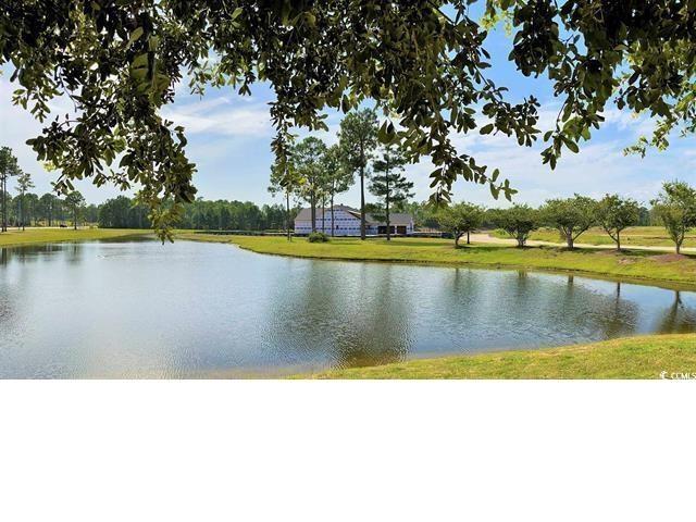361 Starlit Way Myrtle Beach, SC 29579 - Photo 11 of 11 Gallery Image 11