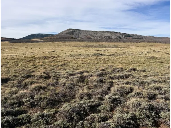 $100,000 | 0 Ferret Circle, Red Feather Lakes, CO 80545