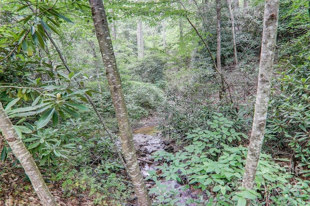 400 Billy Cove Road Candler, NC 28715 - Photo 38 of 40 Gallery Image 38