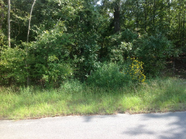 Lot 17 Anderson Pond Road Wagener, SC 29164 - Photo 1 of 1