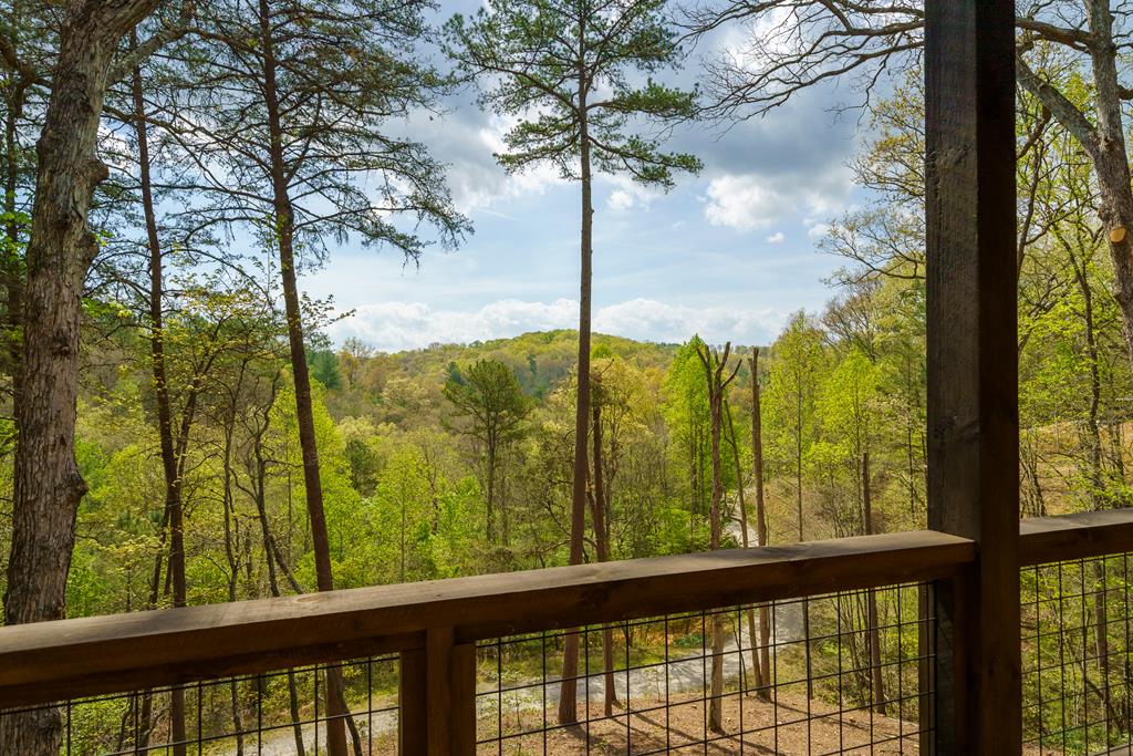 250 Wolfcreek Road Mineral Bluff, GA 30559 - Photo 44 of 56