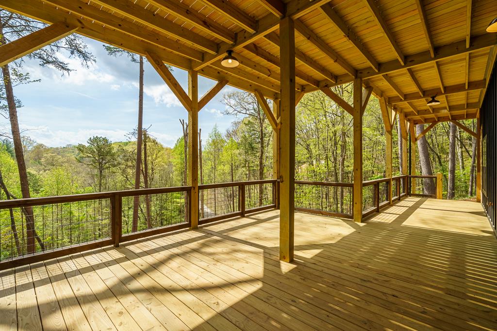 250 Wolfcreek Road Mineral Bluff, GA 30559 - Photo 45 of 56